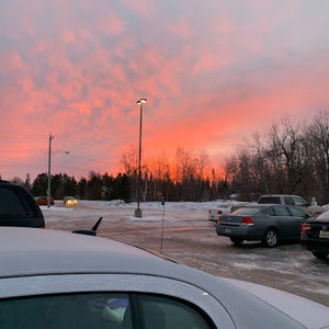 Meet your Posher, Heidi